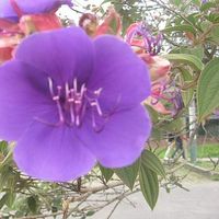 Fotos de Marylin Sterling