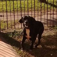 Jorge Bordón Farfán的照片