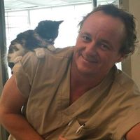 Fotos de Stuart Galbraith