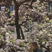 Lydia Köhler's Photo