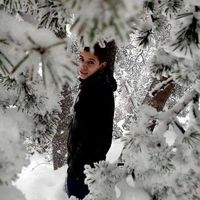 Taouche Hamza的照片