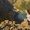 lorena Amaya's Photo