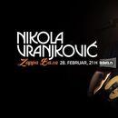 Nikola Vranjković (rock concert)'s picture