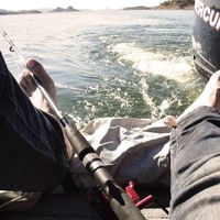 Enrico Avila Patterson's Photo