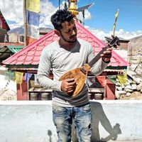 Parag Chamuah的照片