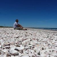 Roberto Grimoldi的照片