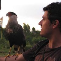 Mauricio Da Rocha's Photo