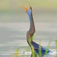 Zdjęcia użytkownika Abdo Ali