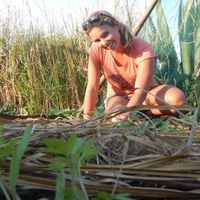 Linde Hullegie's Photo