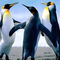 Fotos de Rocio Hernandez