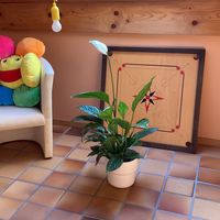 Catherine Berger's Photo