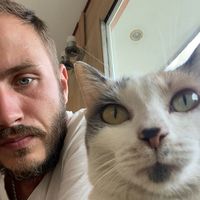 Alexander Verkholantsev's Photo