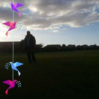 Abdarahman Aly's Photo