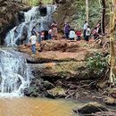 Karura Nature walk's picture