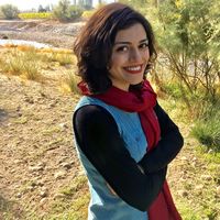 Shabnam Shabani的照片
