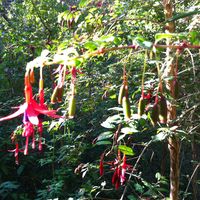 Raul  Quinteros's Photo