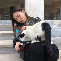 Yu-Ning Lee的照片