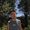 Elad Kleiner's Photo