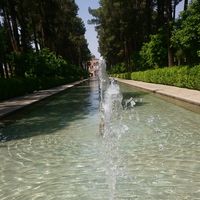 mahsa yousefi's Photo