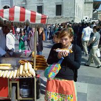 Sarah Bartmann的照片