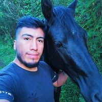 Фотографии пользователя stiven sanchez