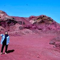 Hanieh Tavakoli的照片