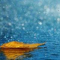 Stella Synegianni's Photo