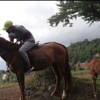 Mohammad Amin Rajablou's Photo