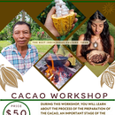 Immagine di Workshop CACAO 