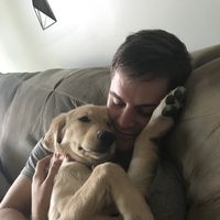 James Johnston的照片