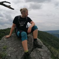 Richard Hochrainer's Photo