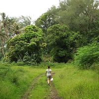 Lucile Lambert's Photo