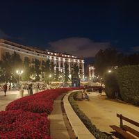 Yaneth Garzón's Photo