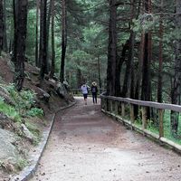 Ariadna Domingo Goixart的照片