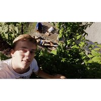 Photos de Martin Bürgel