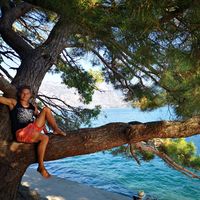 Stephanie Scherrer's Photo