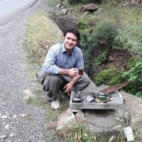 Fotos de Shahed Shahlai