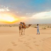 Rinks chouhan的照片