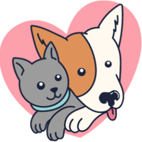 Gia Đình Pet's Photo