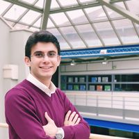 Ali Gholizadeh的照片