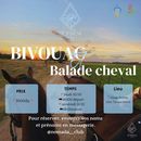 Foto de BIVOUAC ET BALADE CHEVAL 