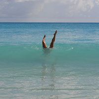 Wendy Barbier's Photo