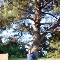 Alessandra Possamai's Photo