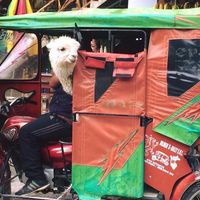 Gabriela Melgarejo's Photo