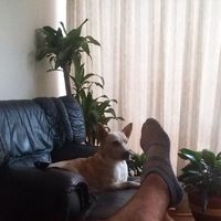 Diego Ballén's Photo