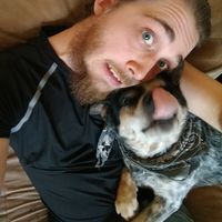 andrew morrison的照片