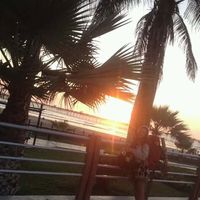 florencia tello torres的照片