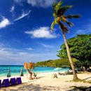 Day trip to Koh Larn 🏝️'s picture