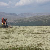 maksimilian buzun's Photo