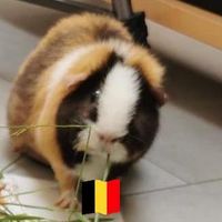 Cui Hongrui的照片